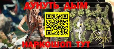 стафф Славгород