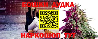 PSILOCYBIN Сланцы